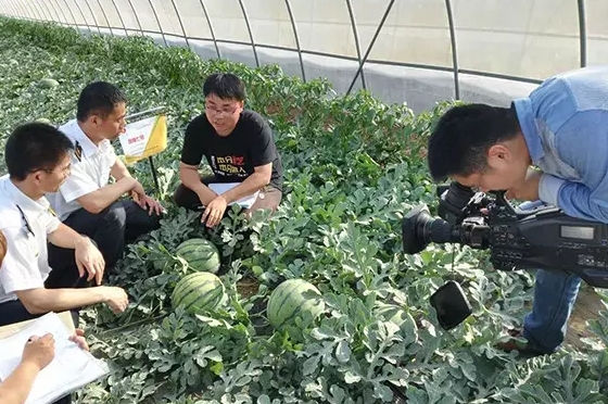 寒流無情，農(nóng)大和豫藝有愛