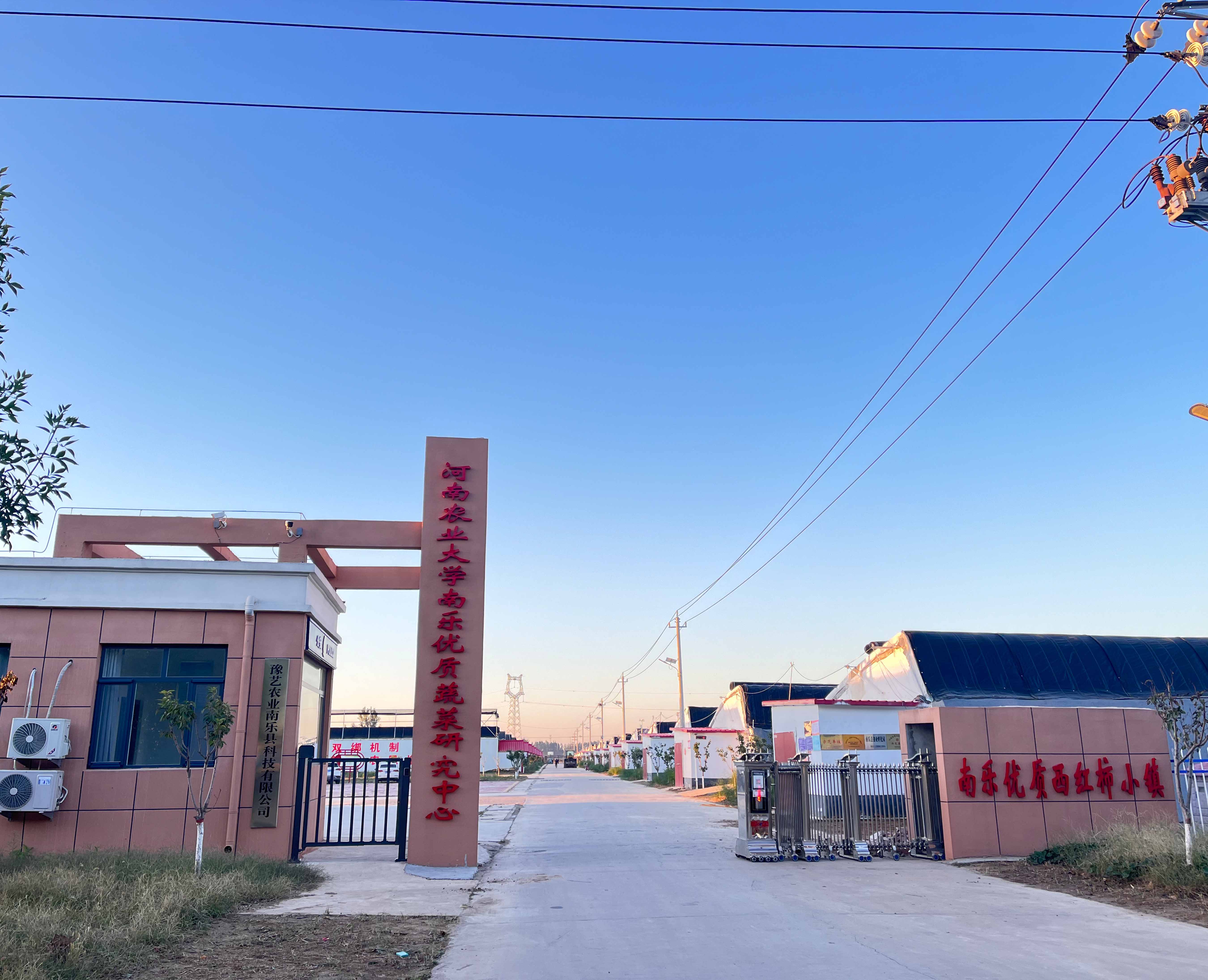 河南農大南樂優(yōu)質蔬菜研究中心