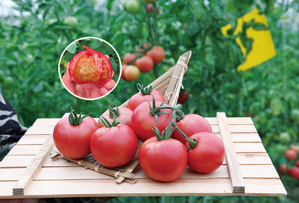 微信圖片_20240319085603.jpg 微信圖片_20240319085603.jpg