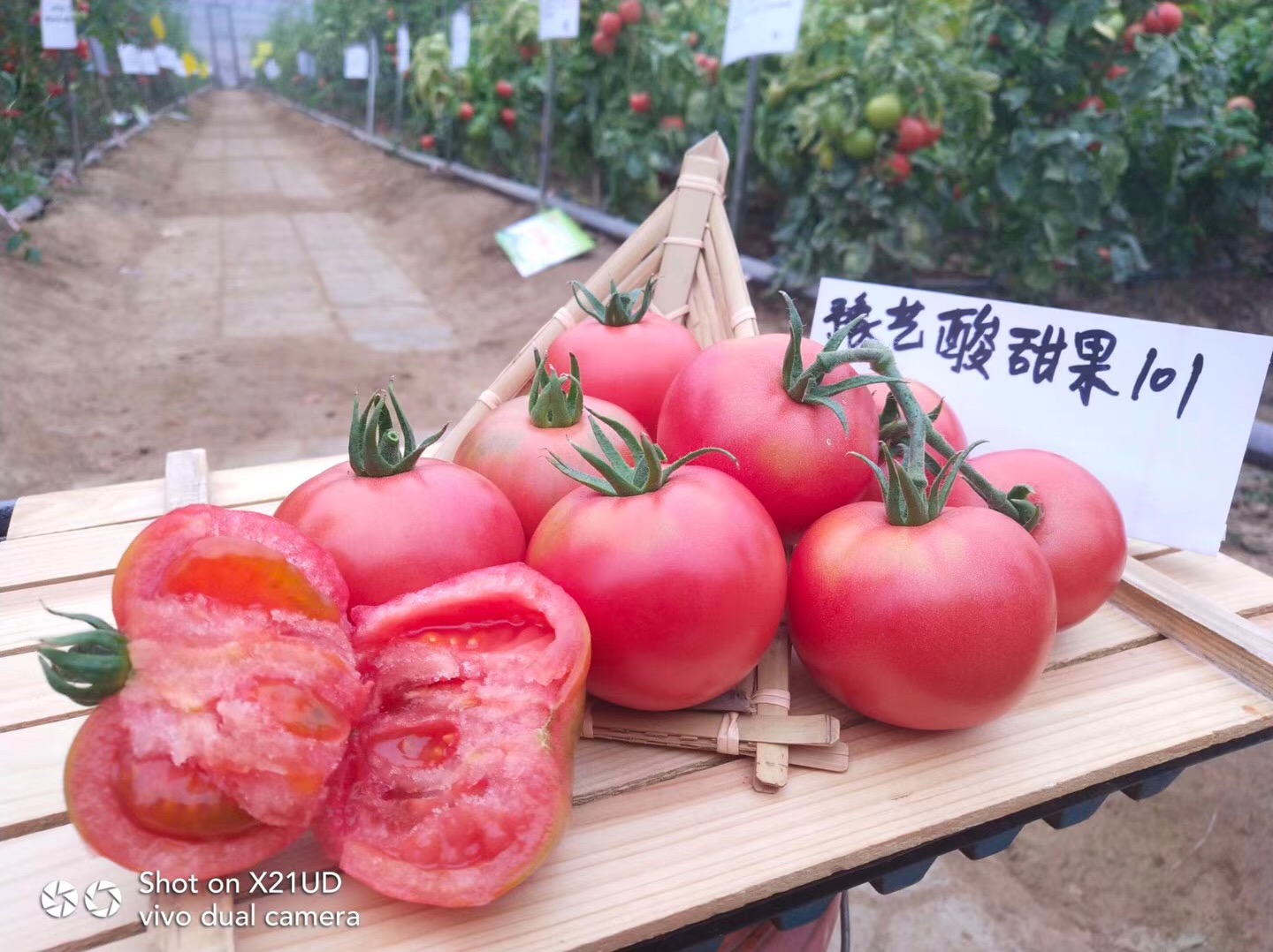 微信圖片_20181202205835.jpg 微信圖片_20181202205835.jpg