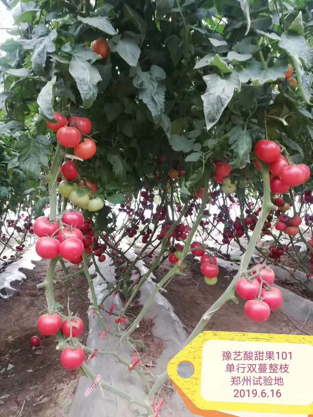 微信圖片_20191225083114.jpg 微信圖片_20191225083114.jpg